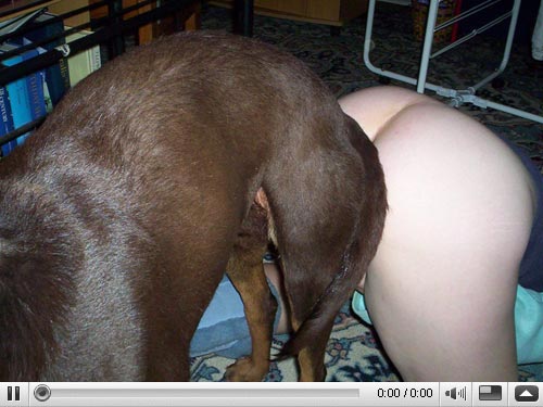Sextube dog Animal Sex